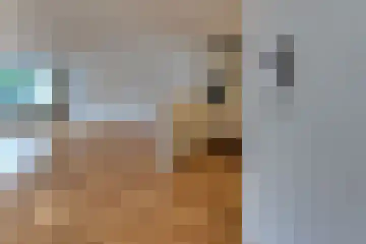 Mozartdreef 70 Harderwijk thumbnail 8