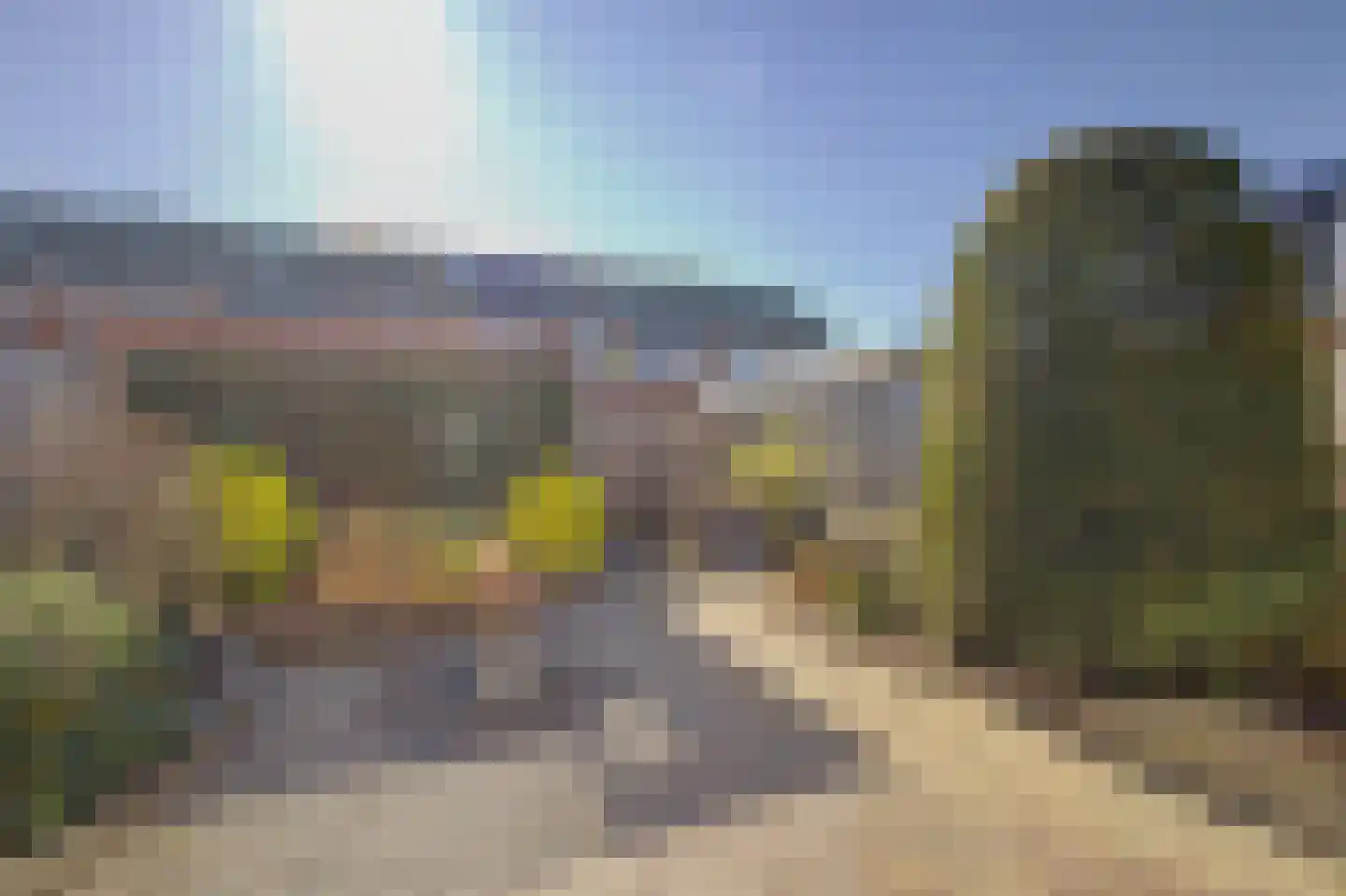 Mozarthof 80 Terneuzen thumbnail 26