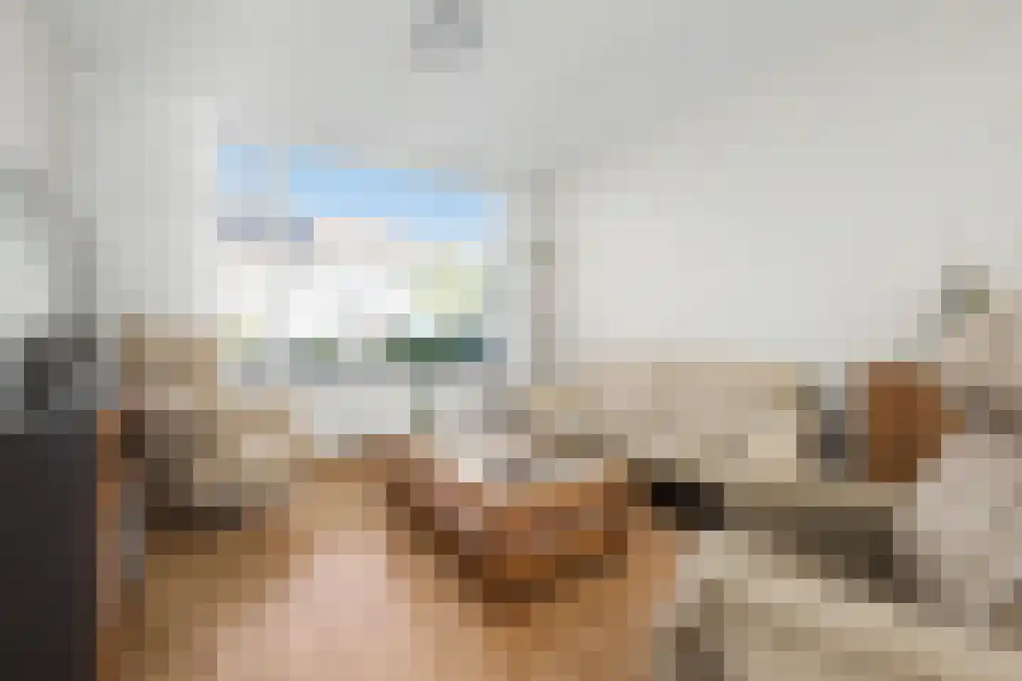 Mozarthof 80 Terneuzen thumbnail 6