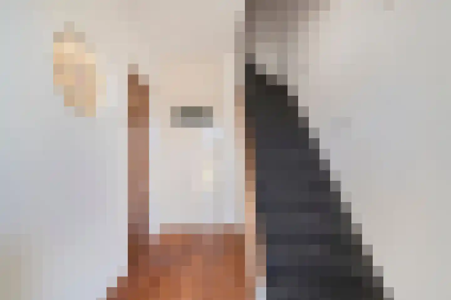 Mozartlaan 1 Schagen thumbnail 4