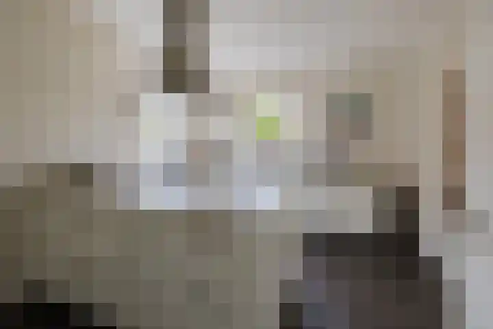 Mozartlaan 1 Voorhout thumbnail 22