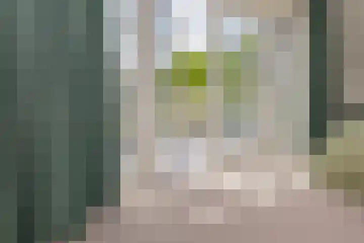 Mozartlaan 1 Voorhout thumbnail 32