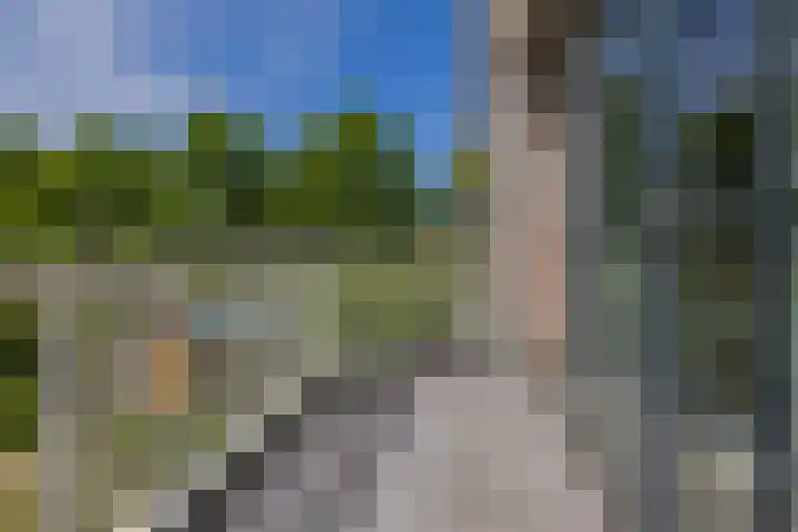 Mozartlaan 1 Voorhout thumbnail 33