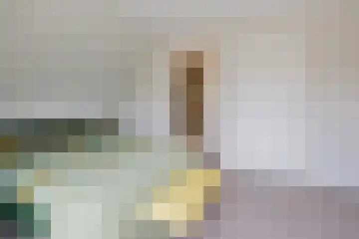 Mozartlaan 1 Voorhout thumbnail 34