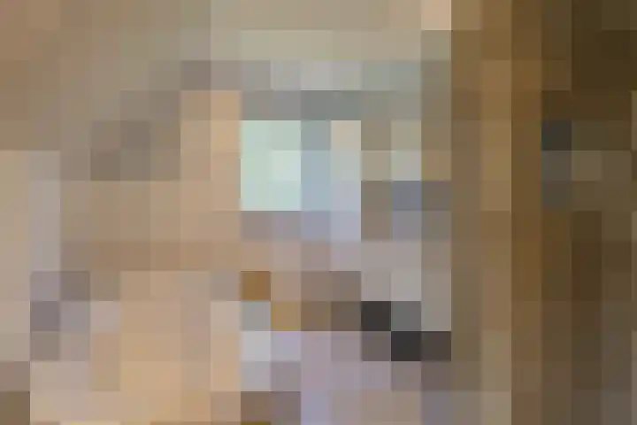 Mozartlaan 1 Voorhout thumbnail 36