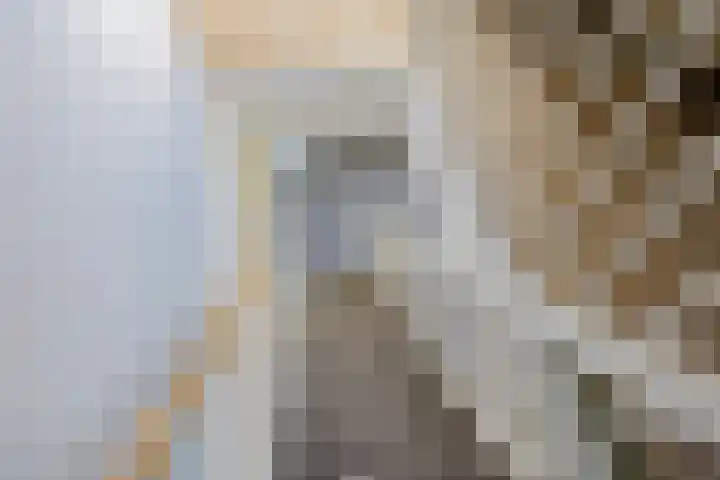 Mozartlaan 1 Voorhout thumbnail 48