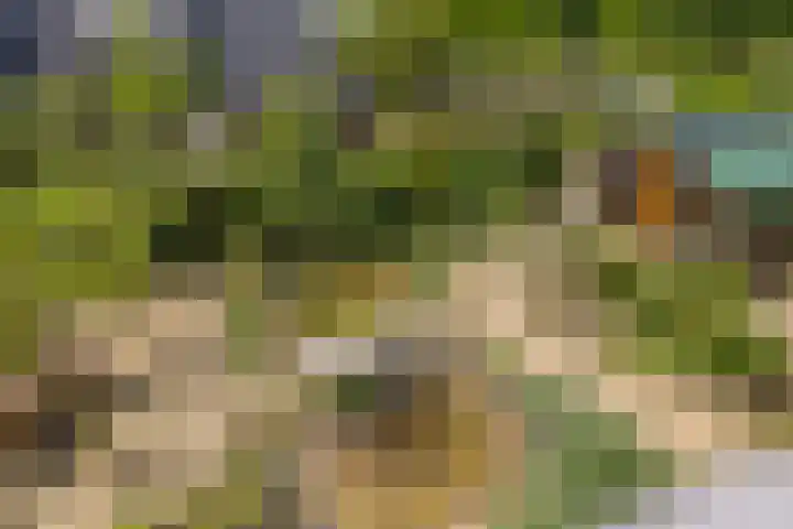 Mozartlaan 1 Voorhout thumbnail 52