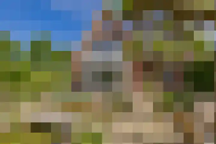 Mozartlaan 1 Voorhout thumbnail 53