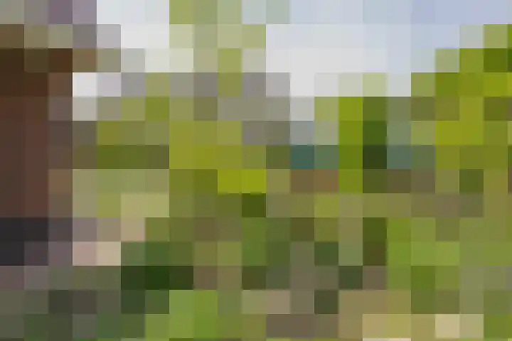 Mozartlaan 1 Voorhout thumbnail 55