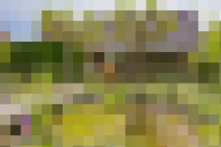 Mozartlaan 1 Voorhout thumbnail 58