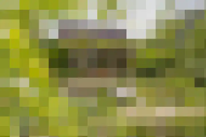 Mozartlaan 1 Voorhout thumbnail 60
