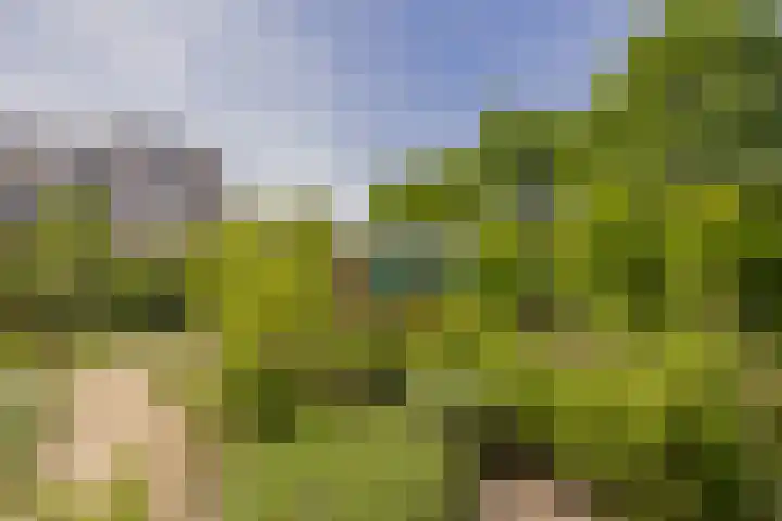 Mozartlaan 1 Voorhout thumbnail 61