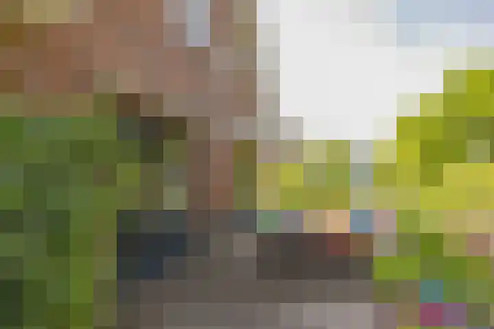 Mozartlaan 1 Voorhout thumbnail 65