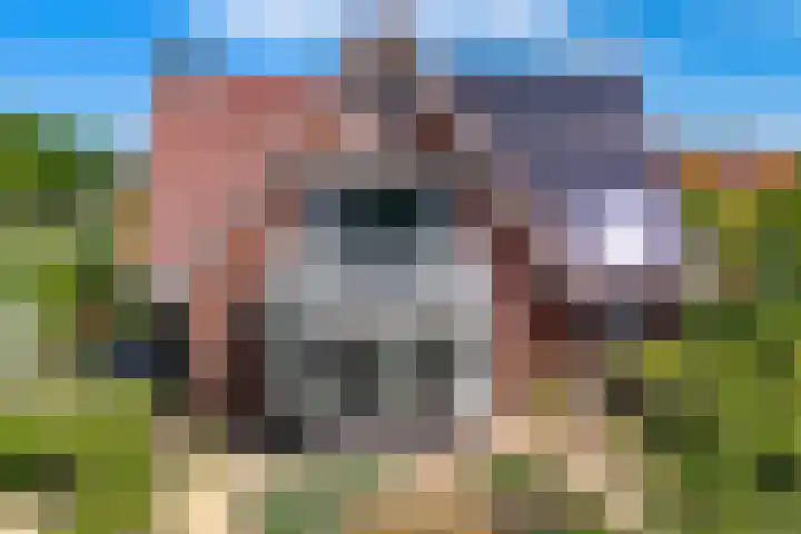 Mozartlaan 1 Voorhout thumbnail 67