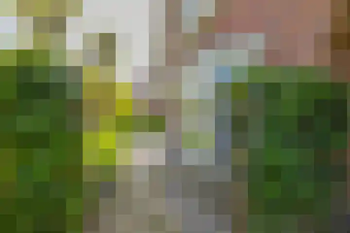 Mozartlaan 1 Voorhout thumbnail 68
