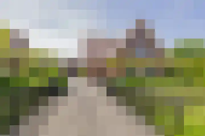 Mozartlaan 1 Voorhout thumbnail 71