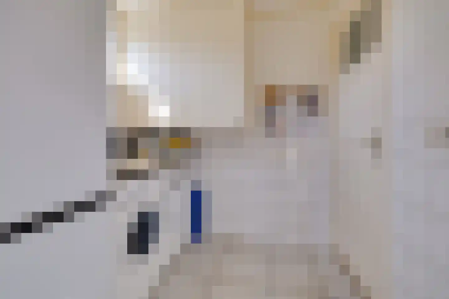 Mozartlaan 10 Apeldoorn thumbnail 11
