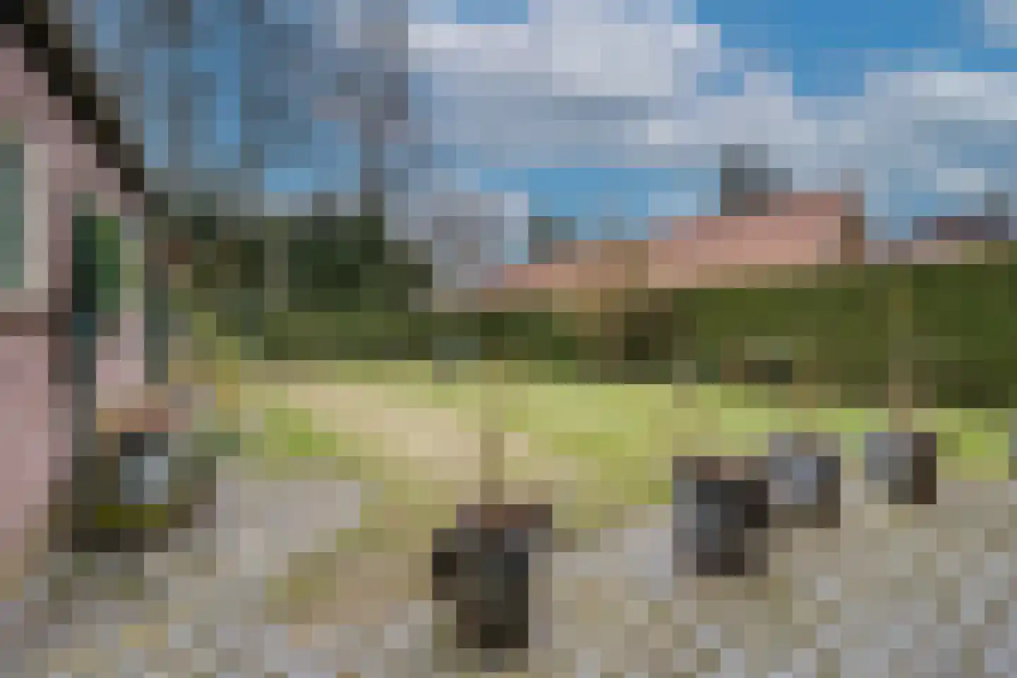 Mozartlaan 10 Apeldoorn thumbnail 30