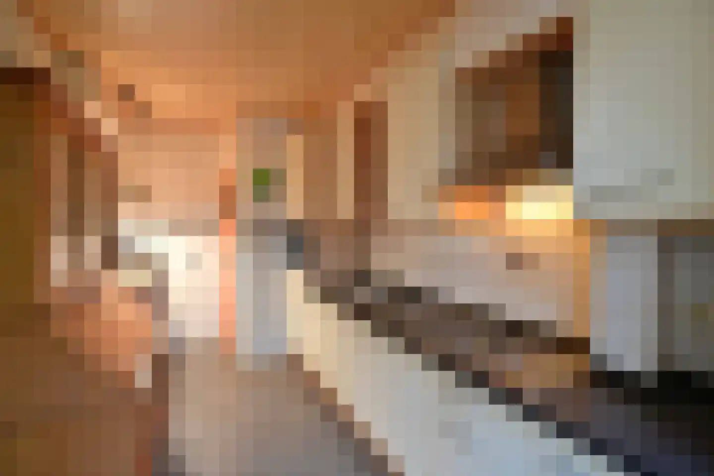Mozartlaan 10 Baarn thumbnail 10