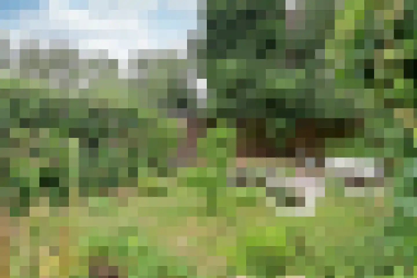 Mozartlaan 10 Baarn thumbnail 14