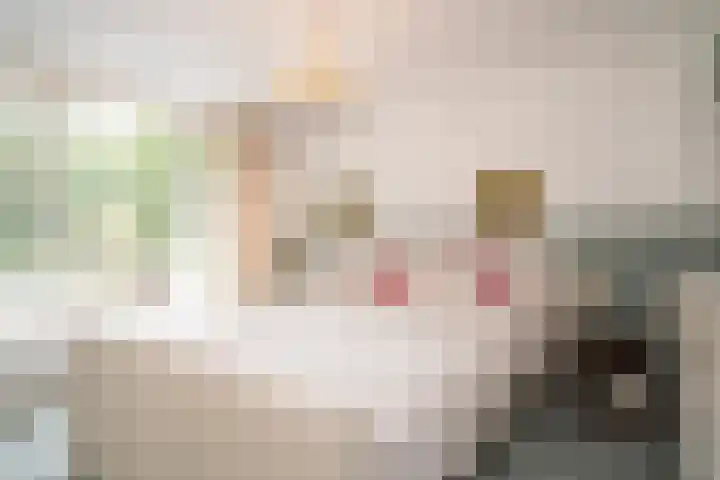Mozartlaan 105 Enschede thumbnail 17