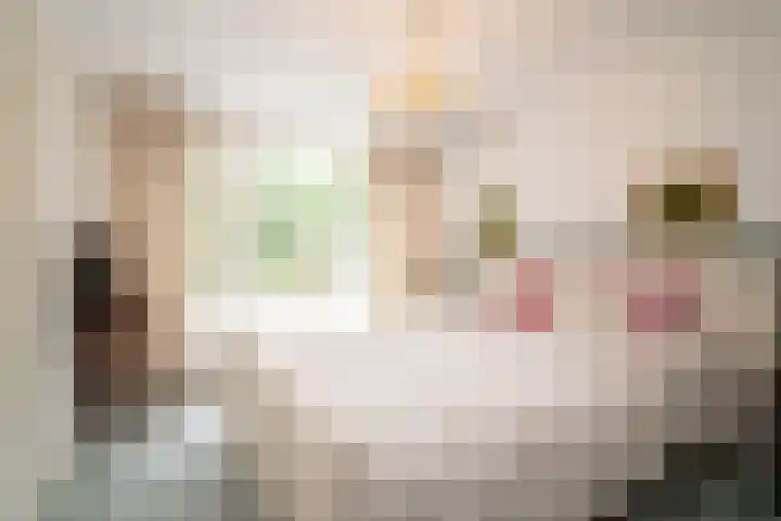 Mozartlaan 105 Enschede thumbnail 18