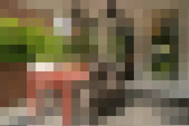 Mozartlaan 105 Enschede thumbnail 28