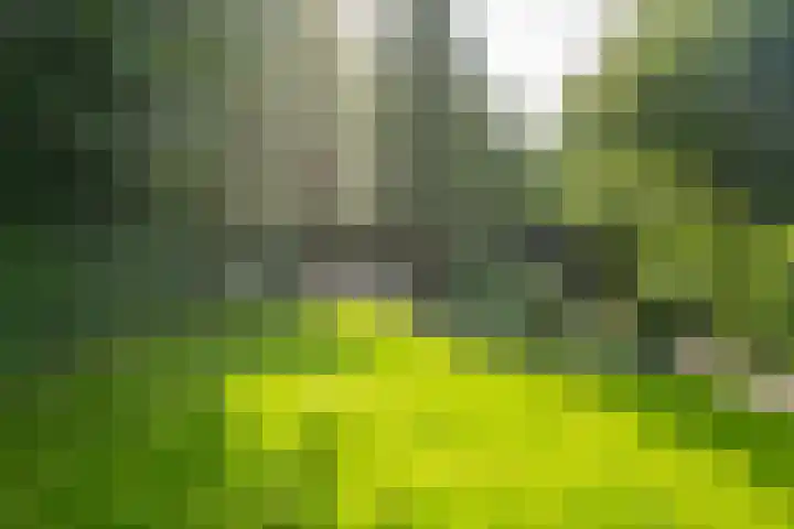 Mozartlaan 105 Enschede thumbnail 29