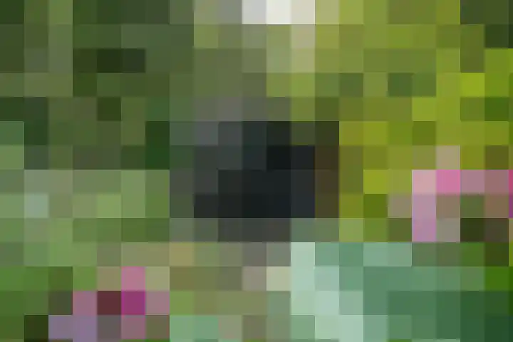 Mozartlaan 105 Enschede thumbnail 31