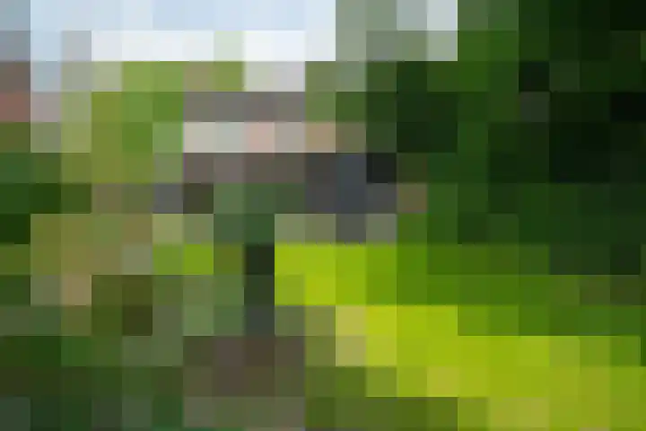 Mozartlaan 105 Enschede thumbnail 32
