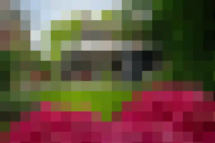 Mozartlaan 105 Enschede thumbnail 33