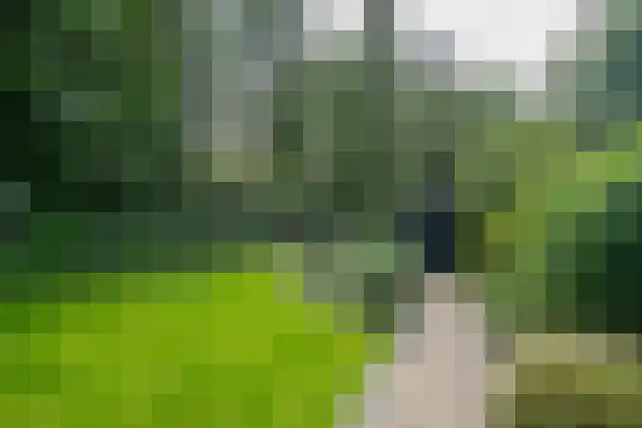 Mozartlaan 105 Enschede thumbnail 35