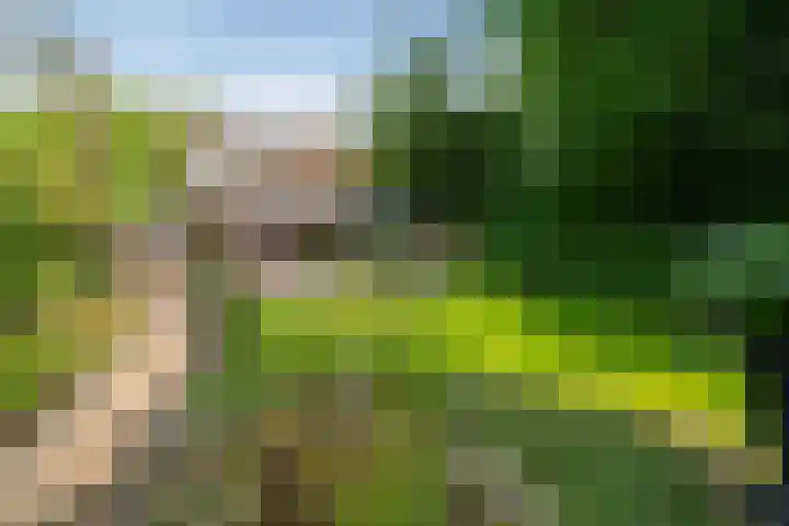 Mozartlaan 105 Enschede thumbnail 4