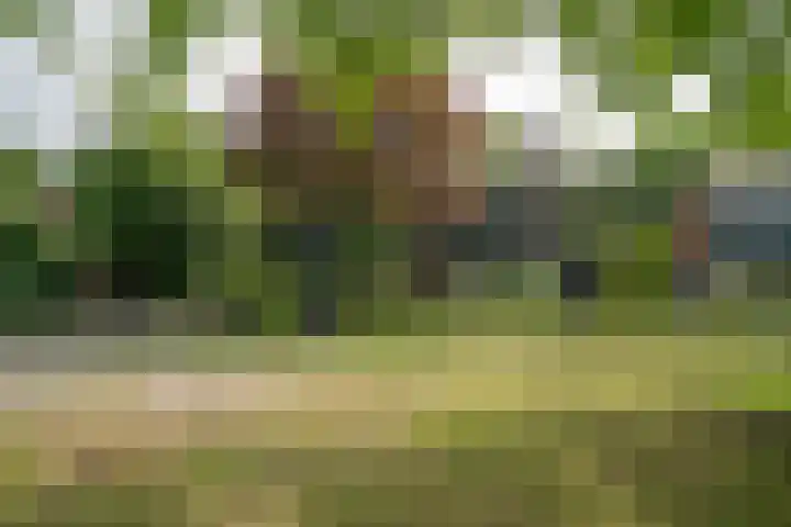Mozartlaan 105 Enschede thumbnail 5