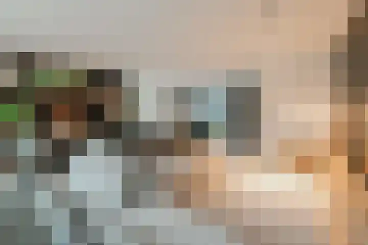 Mozartlaan 11 Hilversum thumbnail 10