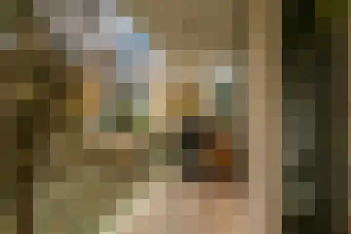 Mozartlaan 11 Hilversum thumbnail 25