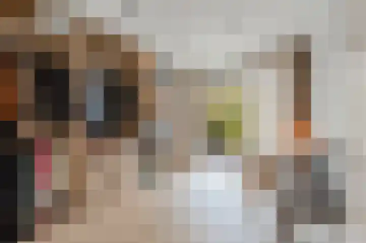 Mozartlaan 11 Hilversum thumbnail 40