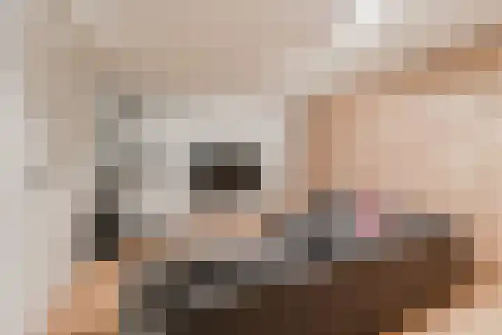Mozartlaan 11 Hilversum thumbnail 49