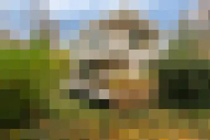 Mozartlaan 11 Hilversum thumbnail 5