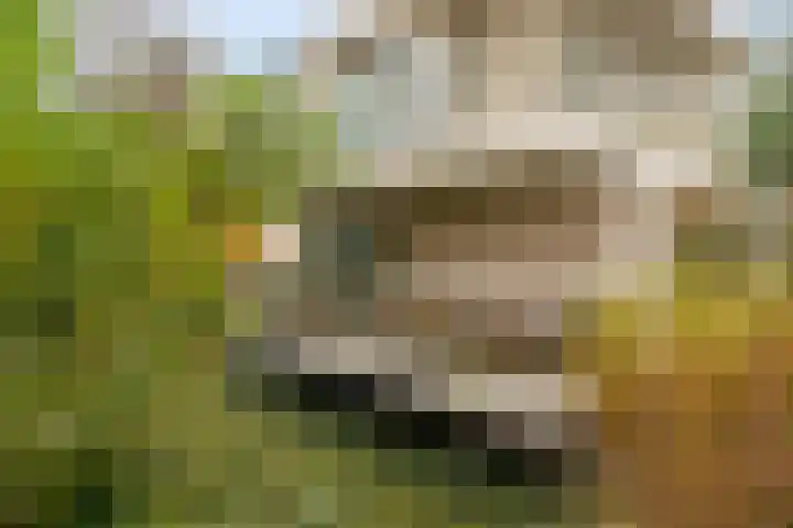 Mozartlaan 11 Hilversum thumbnail 68