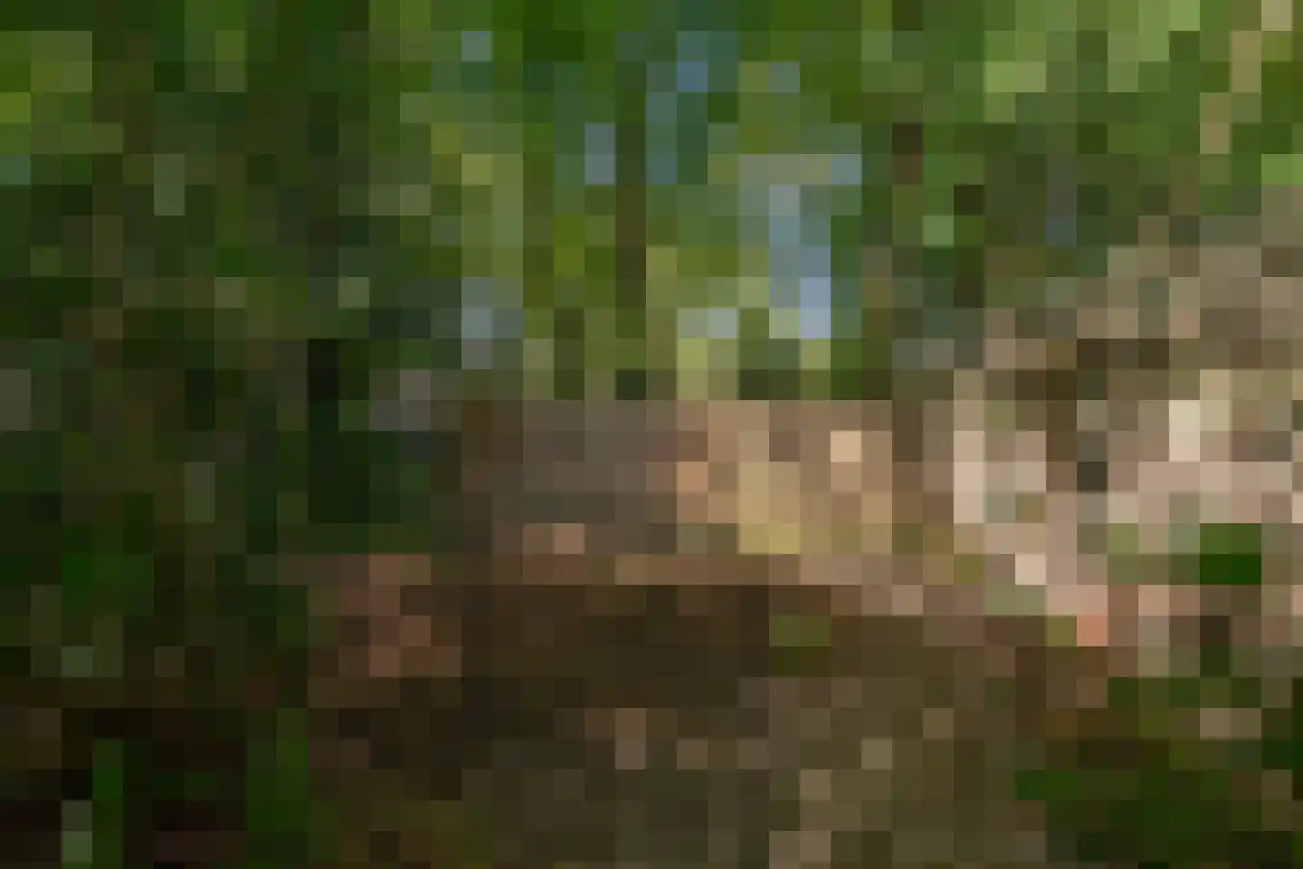 Mozartlaan 113 Enschede thumbnail 25