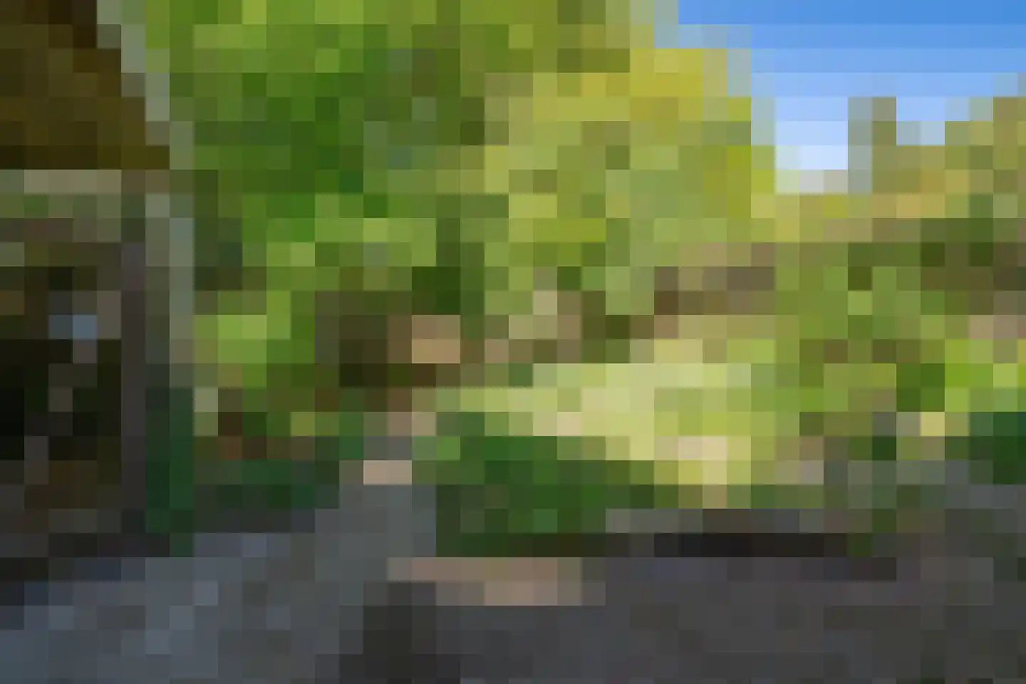 Mozartlaan 113 Enschede thumbnail 27