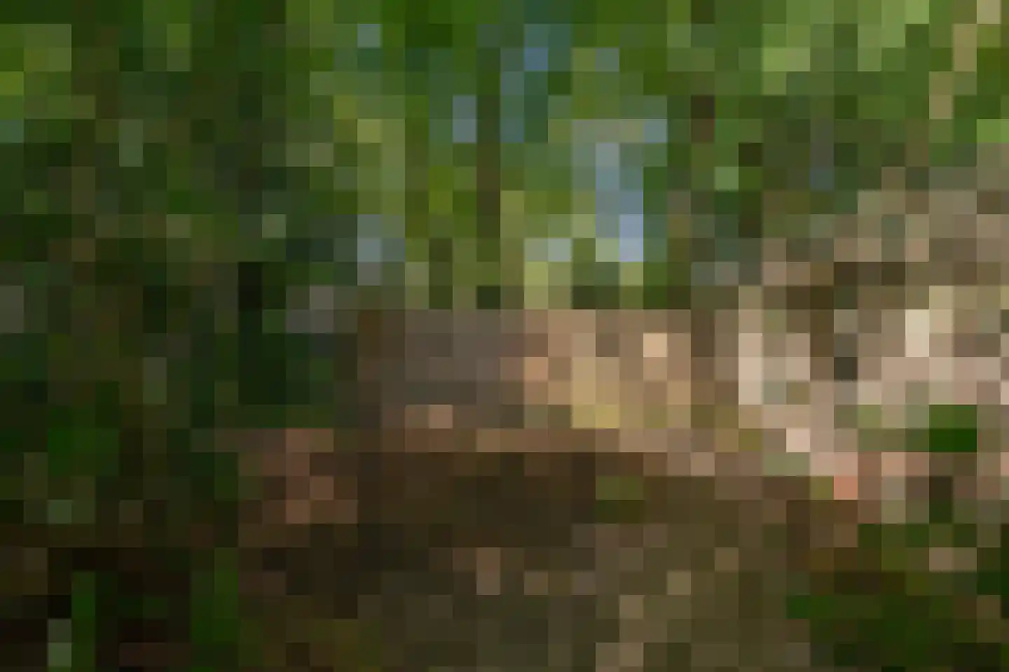 Mozartlaan 113 Enschede thumbnail 28