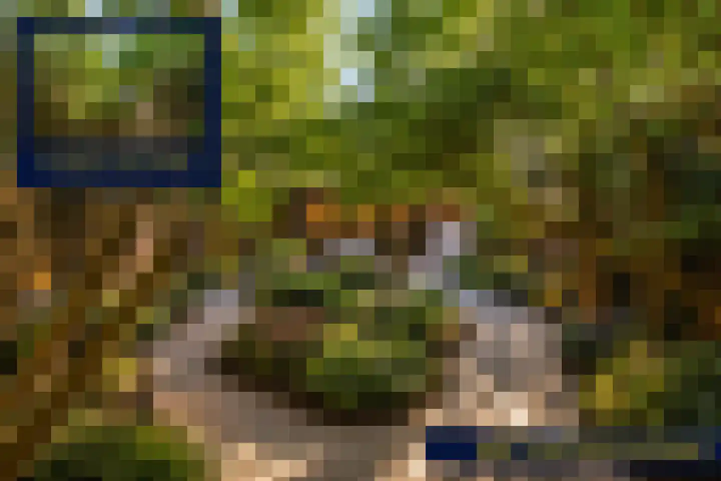 Mozartlaan 113 Enschede thumbnail 29