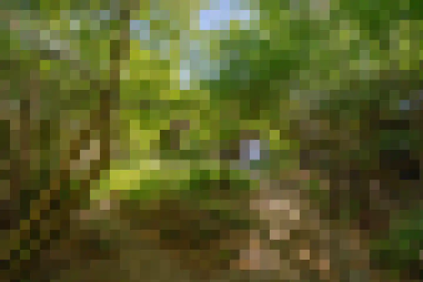Mozartlaan 113 Enschede thumbnail 30