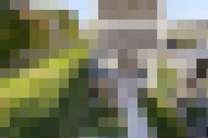 Mozartlaan 118 Zwolle thumbnail 17