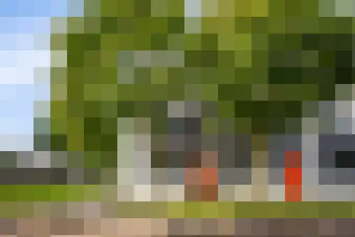 Mozartlaan 118 Zwolle thumbnail 34