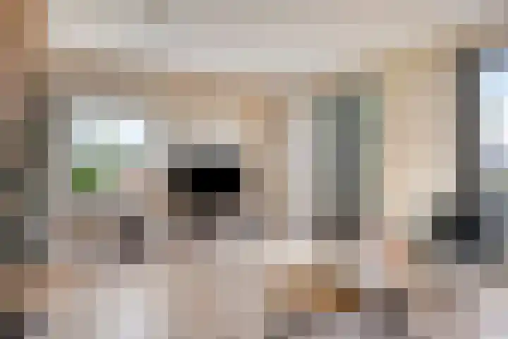Mozartlaan 118 Zwolle thumbnail 9