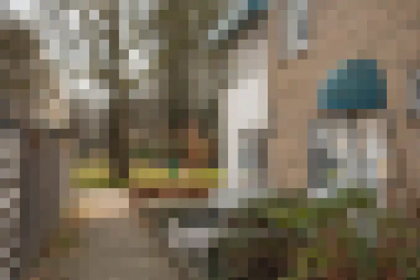 Mozartlaan 123 Hengelo thumbnail 29