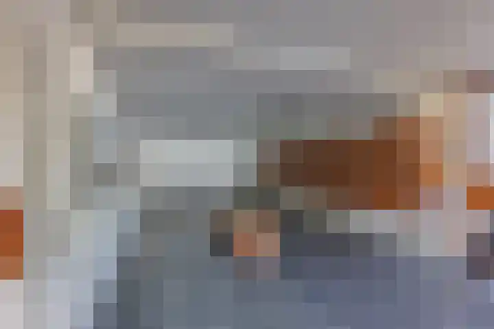 Mozartlaan 124 Den Haag thumbnail 20